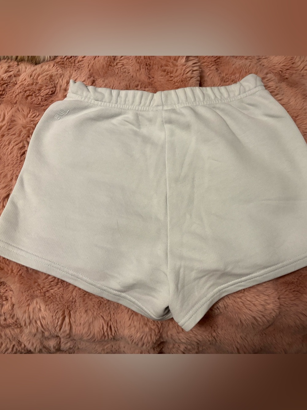 Aritzia sweat shorts